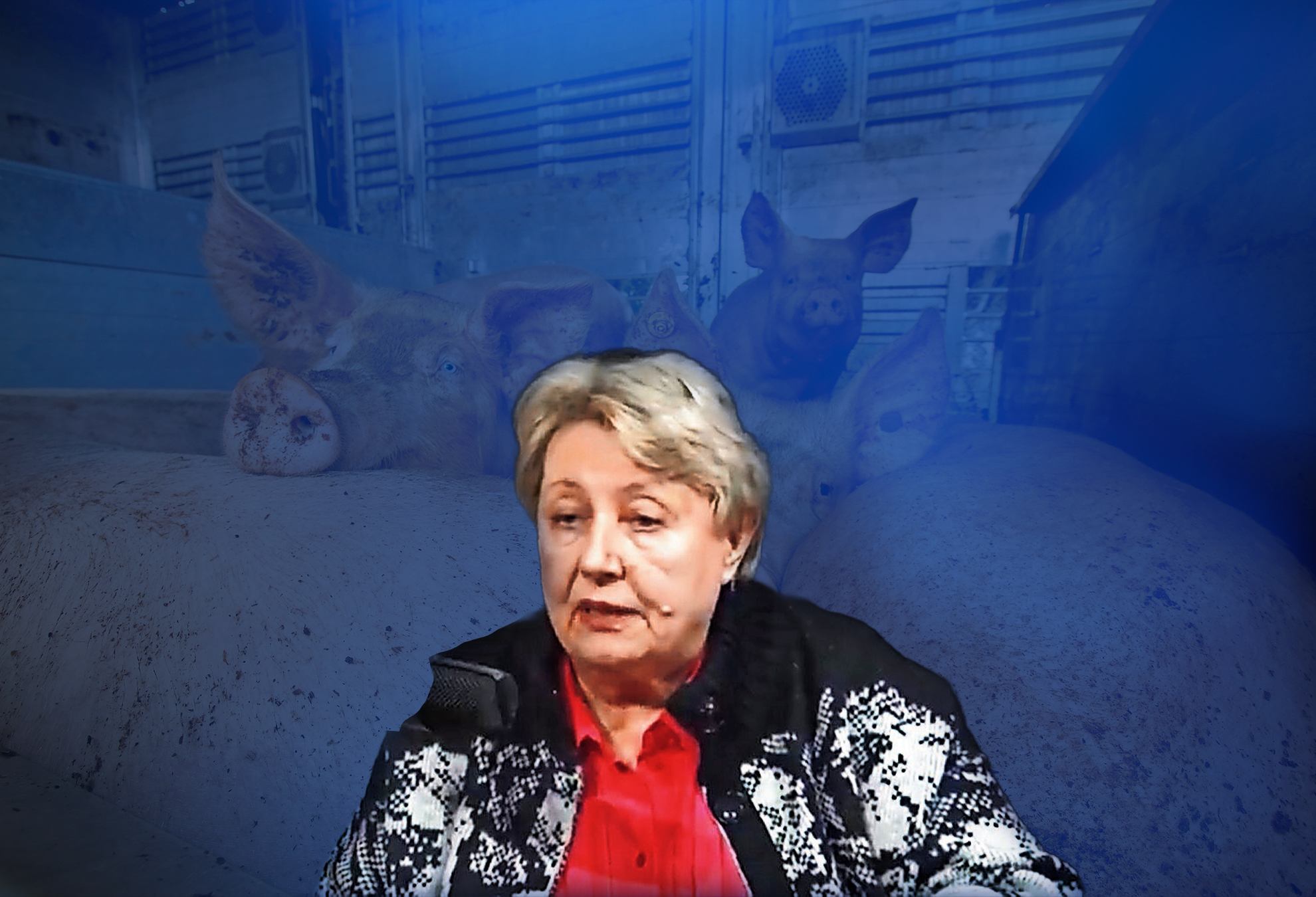 Dr. Nada Jurinčić upozorava: Kod nas nije pronađen ni jedan virus svinjske kuge