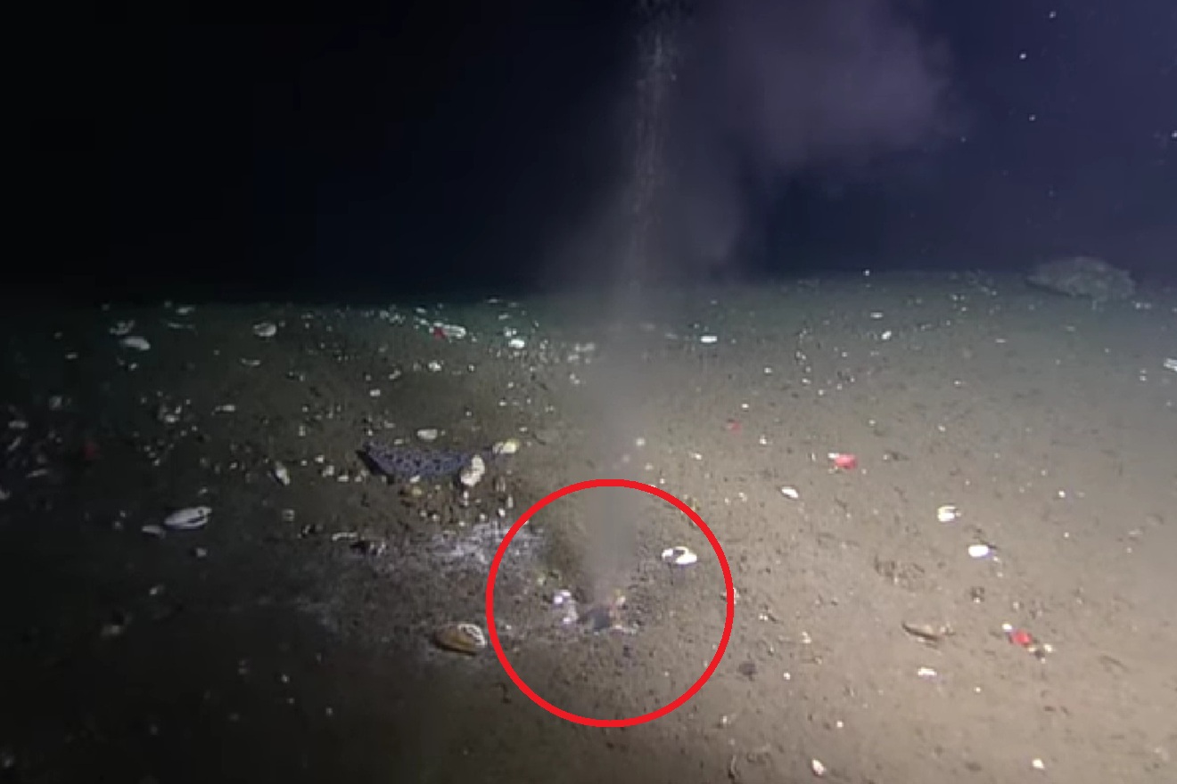 Misteriozna rupa na dnu oceana ispušta toplu tekućinu: Prijeti li nam megapotres?