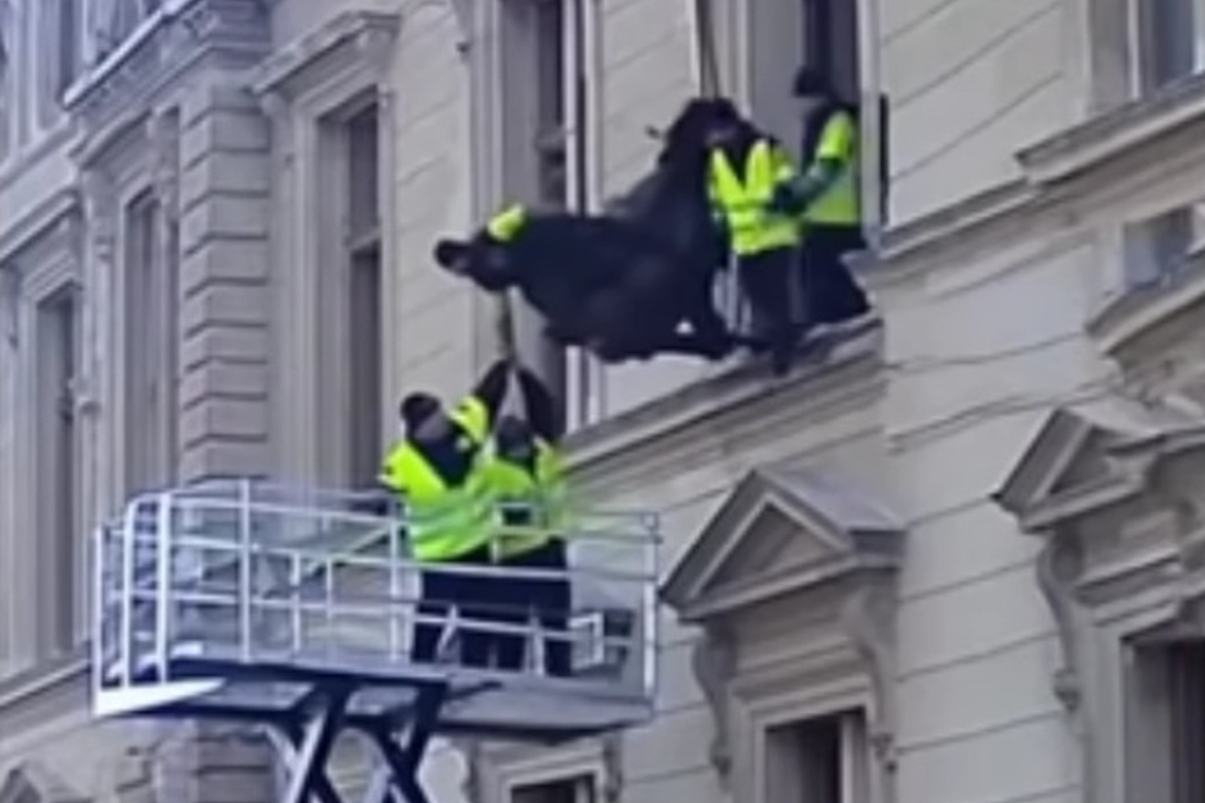 Otkriveno tko je misteriozni ‘detektiv’ iz Louvrea: ‘Ne mogu vjerovati koliko je star’