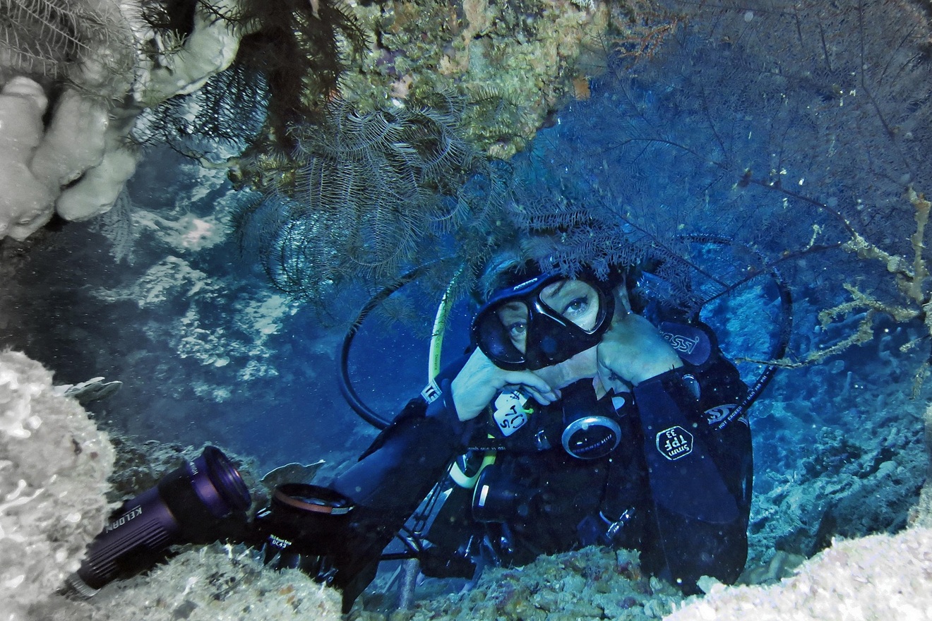 Najstarija životinja na svijetu doživjela nevjerojatnih 507 godina: Zapanjit će vas koja je