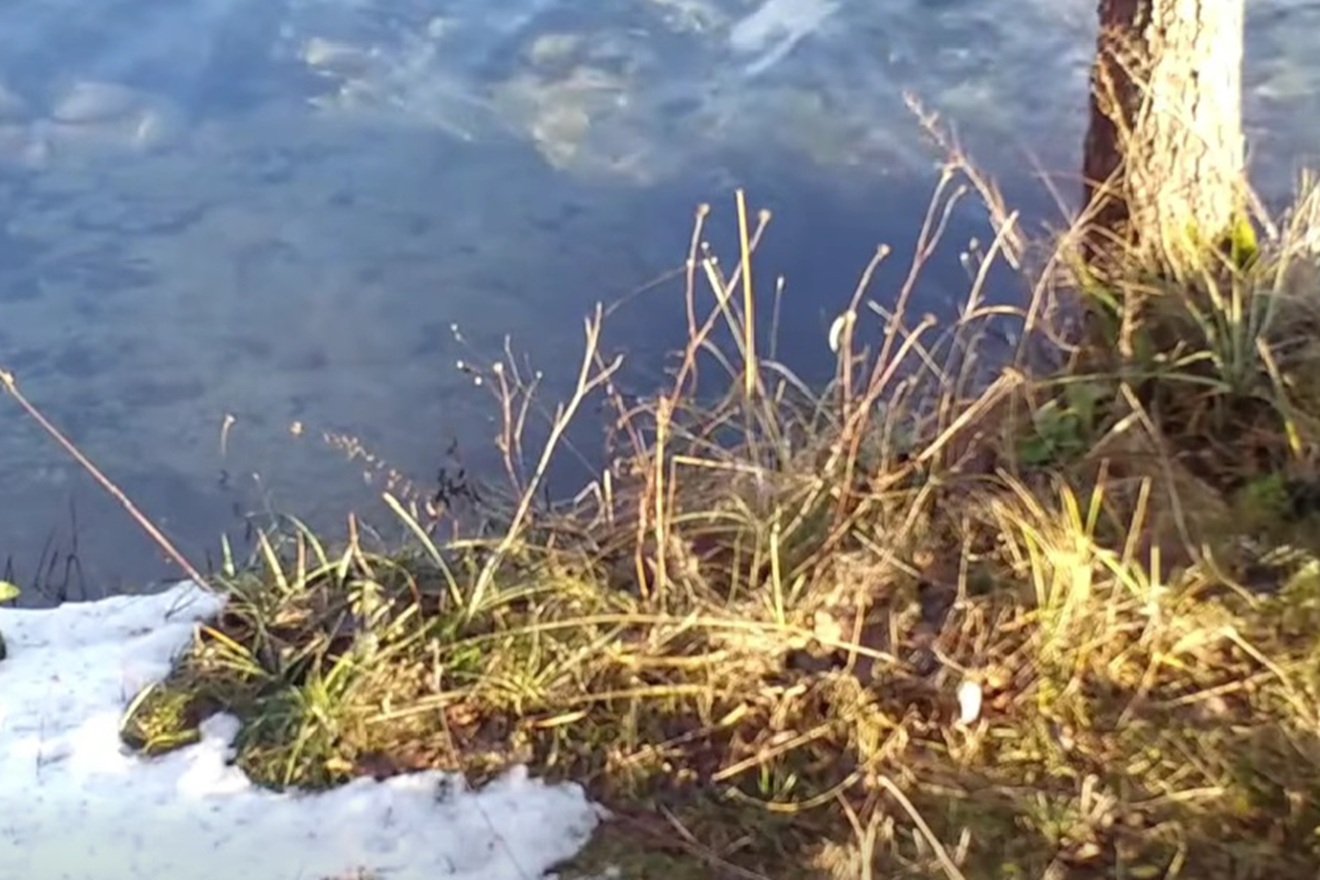 Svi pričaju o videu s Plitvica: Skrovita zvijer uhvaćena u trenutku koji ostavlja bez daha