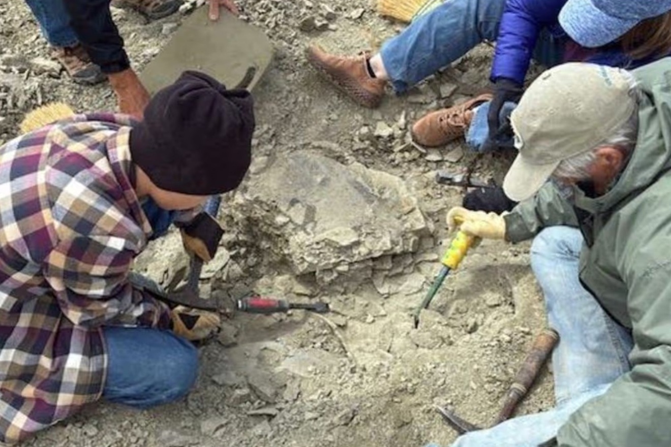 Dječak pronašao fosil star 48 milijuna godina: Stručnjaci nisu mogli vjerovati