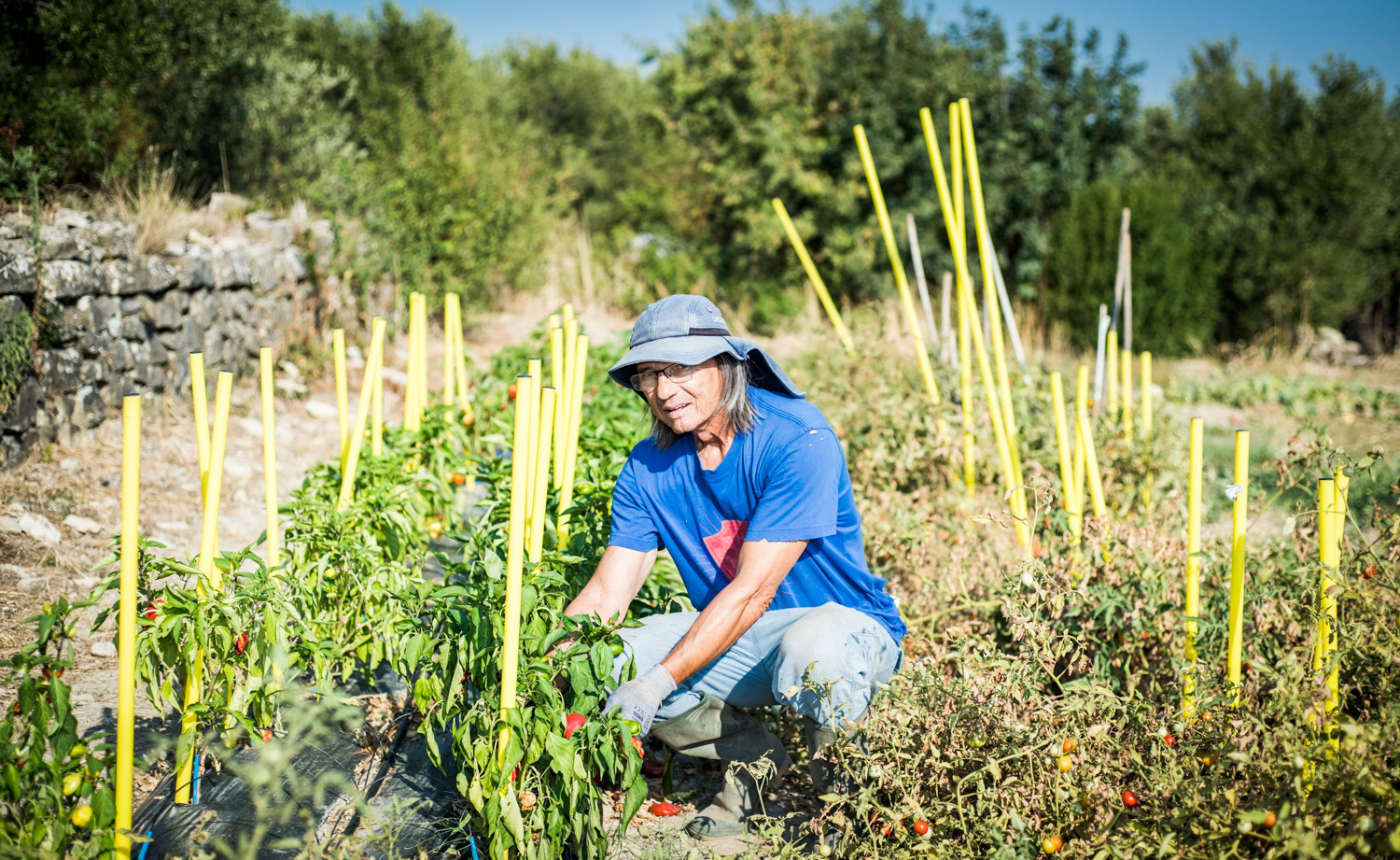 Vrtlarica otkrila koje povrće možete uzgojiti brzo i vrlo lako: ‘Plodovi su nakon 30 dana’