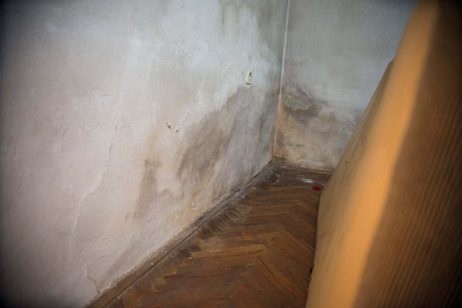 Ovih 5 znakova pokazuje da vam vlaga uništava stan i zdravlje