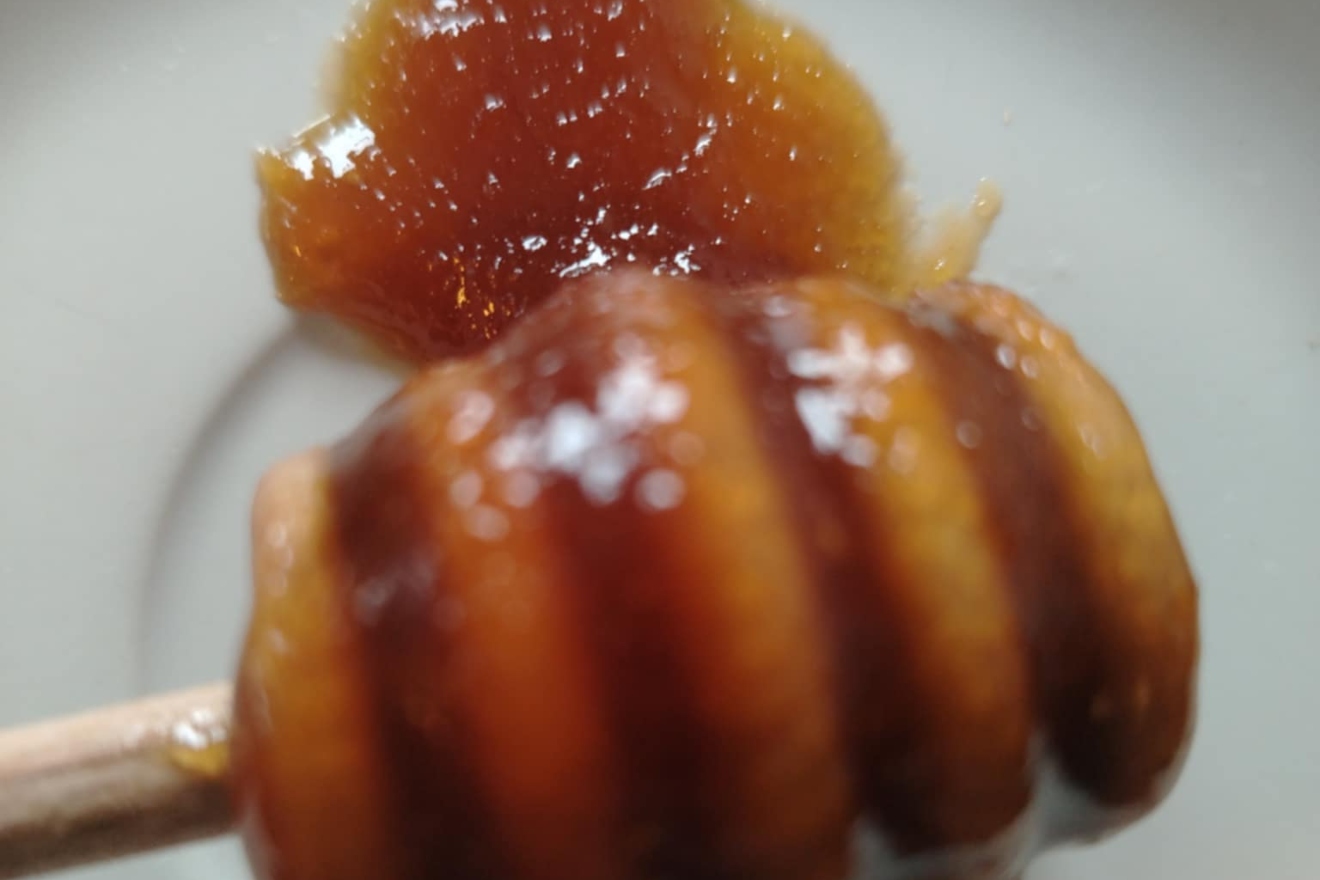 O najboljem medu u Hrvatskoj uopće se ne govori: Košta 10-ak eura i uz njega se veže bizarna priča