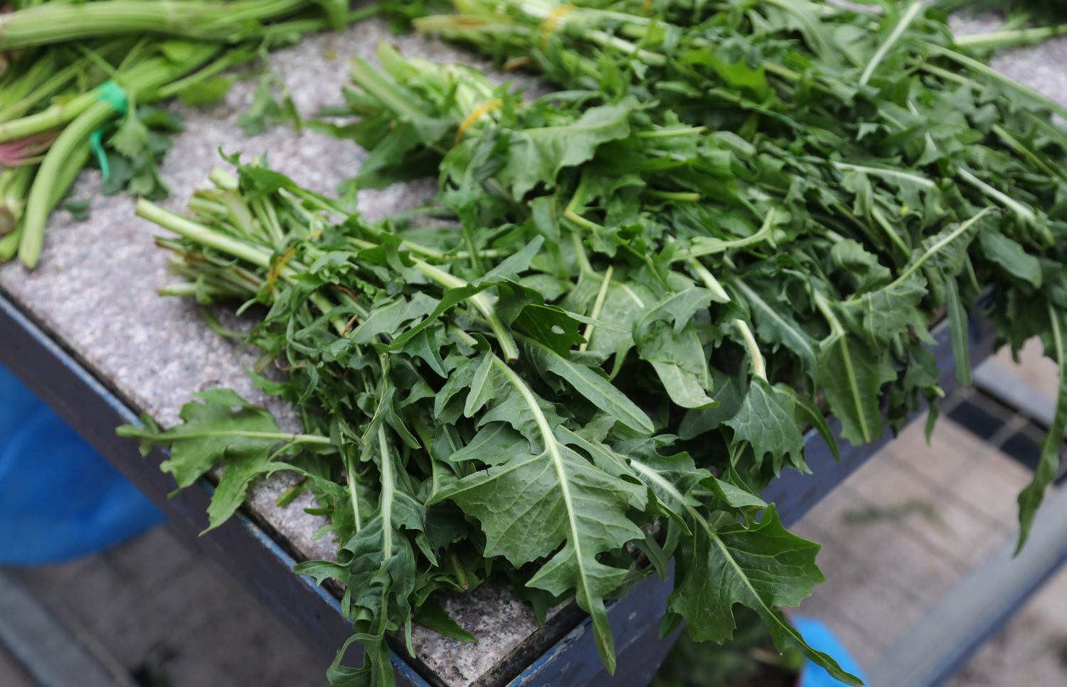 Ova biljka donosi zaradu od 800 eura: Uzgaja se na balkonu i lako se održava