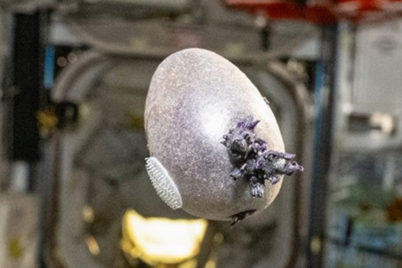 Astronaut objavio sliku neobičnog predmeta u svemiru: Ljudi ne mogu doći k sebi