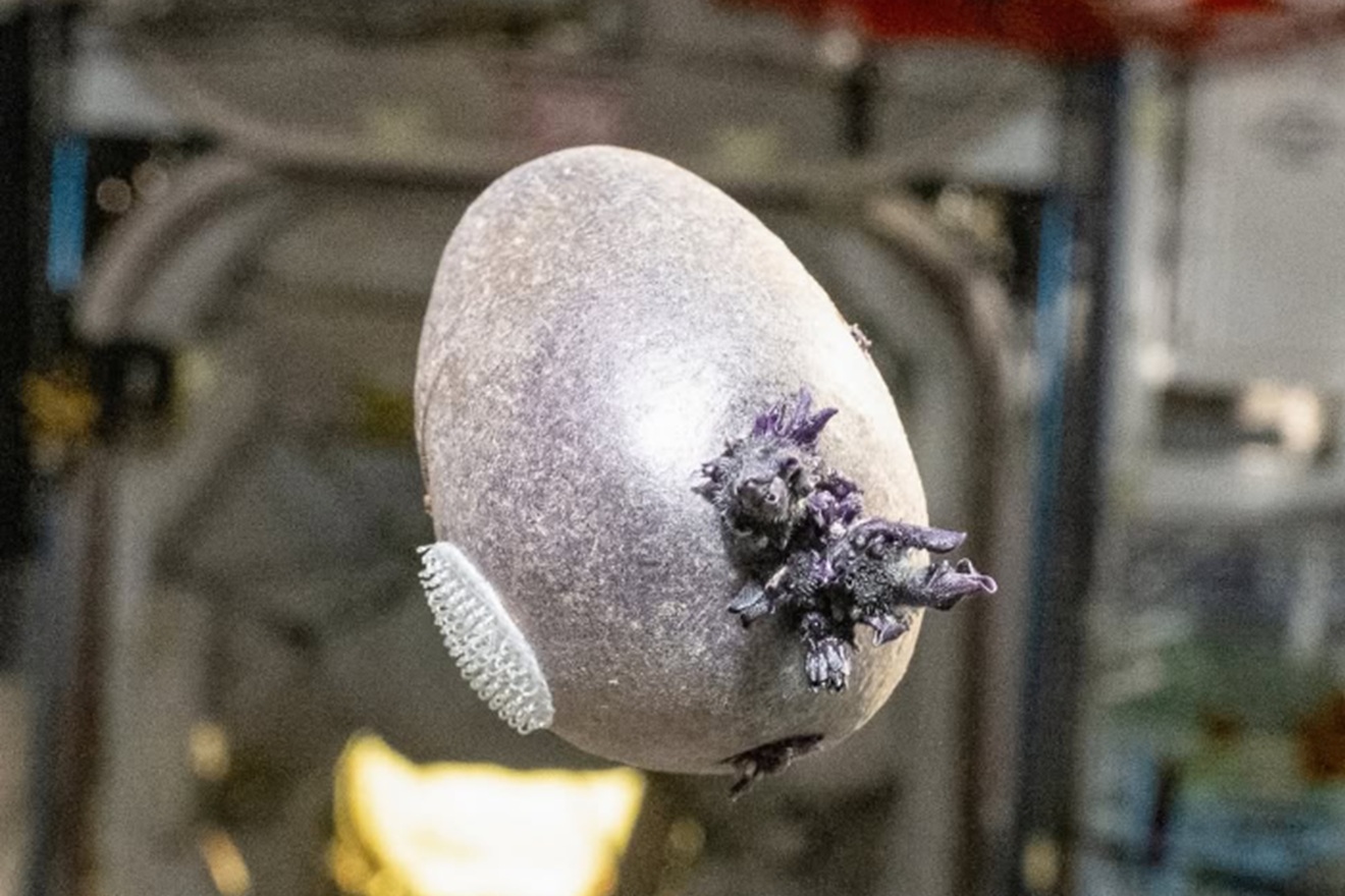 Misterij u svemiru: Astronaut objavio fotografiju jezivog ljubičastog objekta