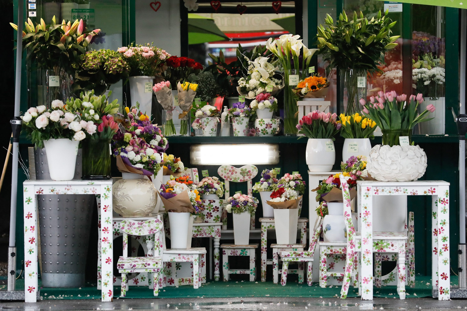 Ljudi masovno počeli saditi ovo cvijeće: Čista zarada ide i do 4.500 eura