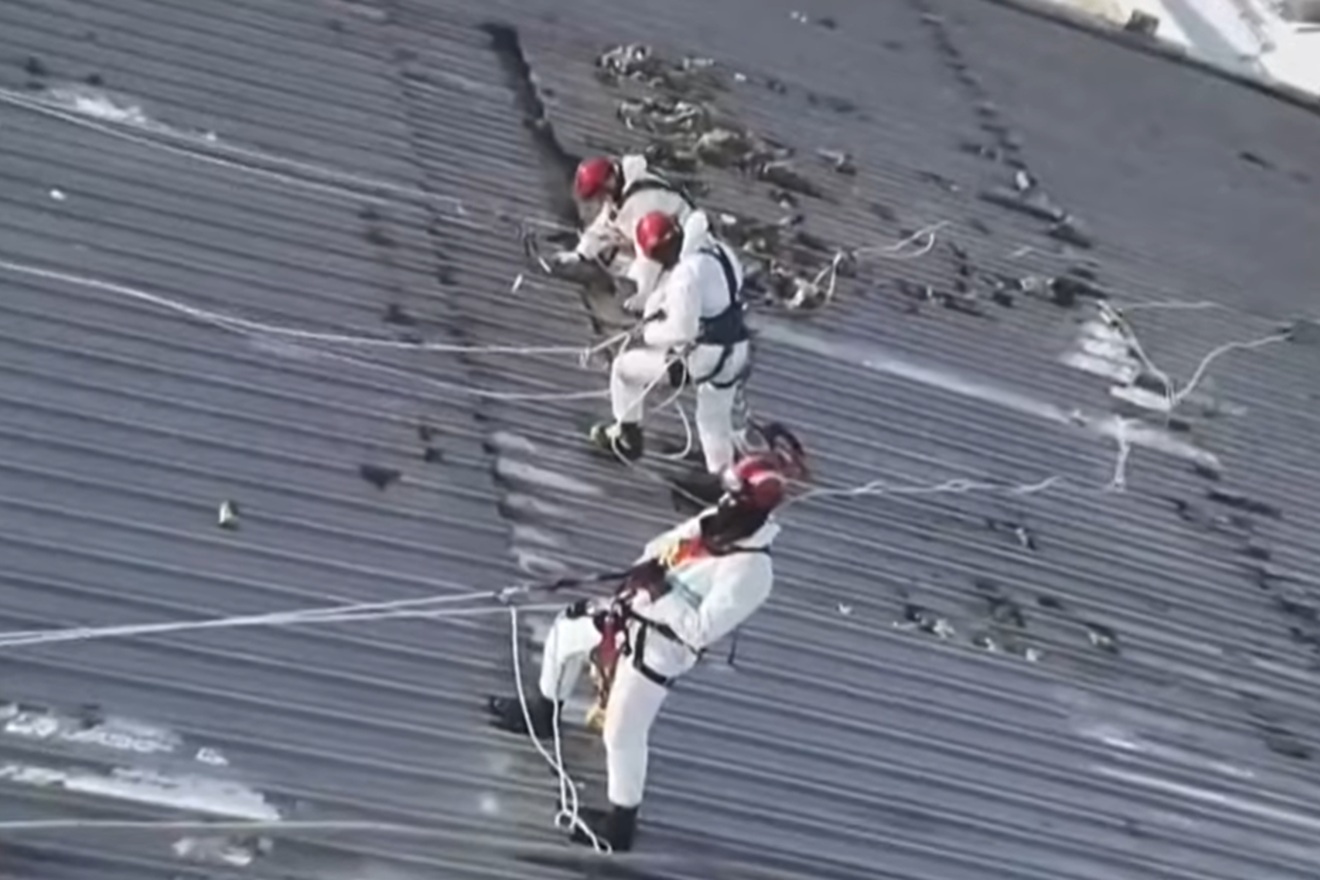 Stručnjaci u srcu Černobila otkrili organizam koji preživljava: ‘Život nakon katastrofe’