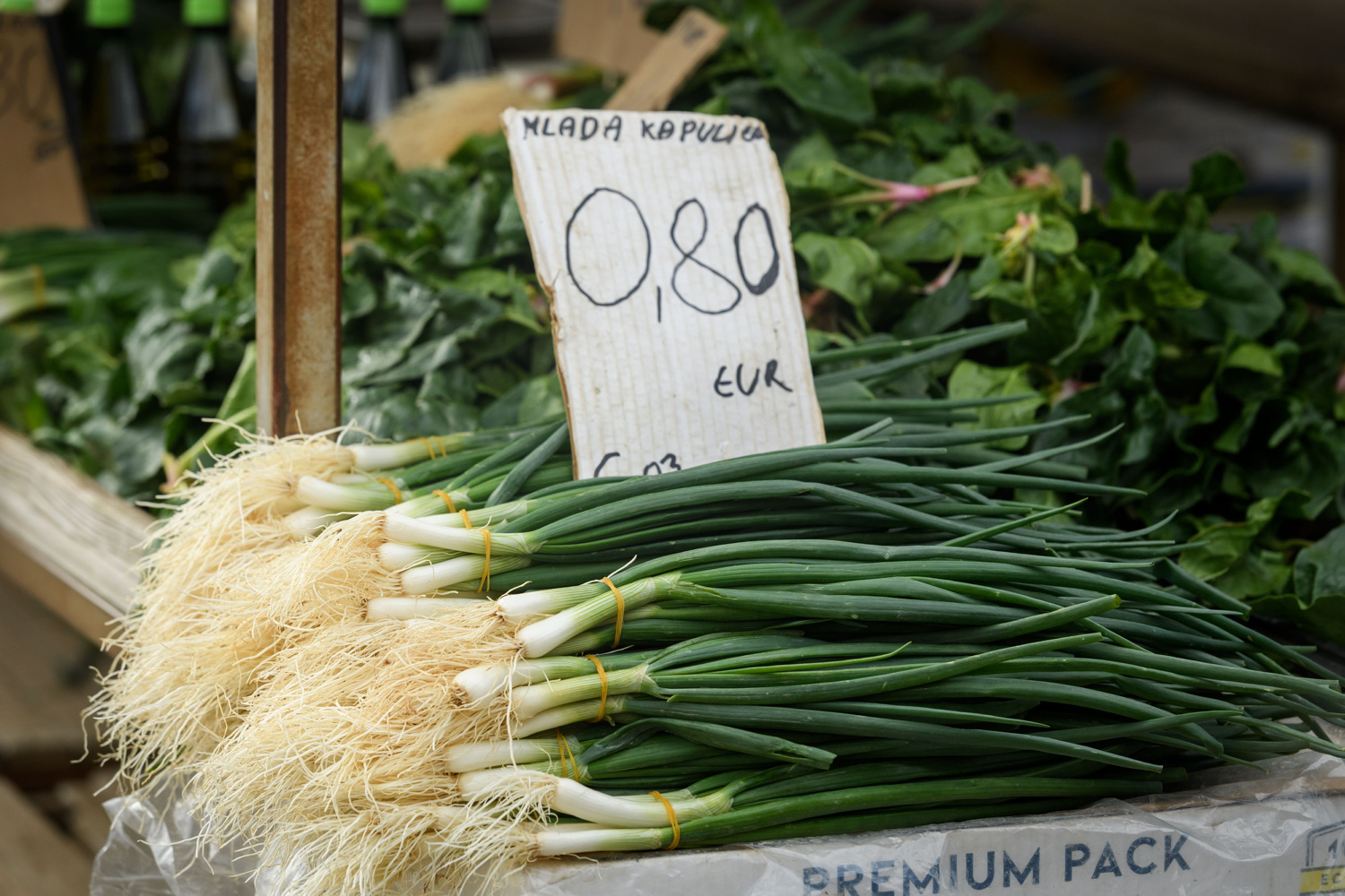 Tržište je preplavio uvezeni mladi luk: Domaći proizvođači imaju važne savjete kako ga prepoznati