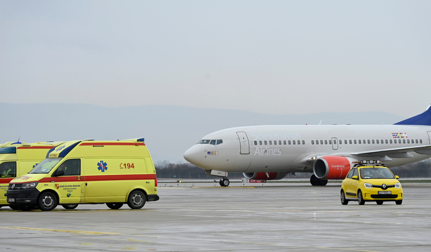 Misterij u avionu: Mačak nestao usred leta, vlasnici ostali u čudu nakon slijetanja