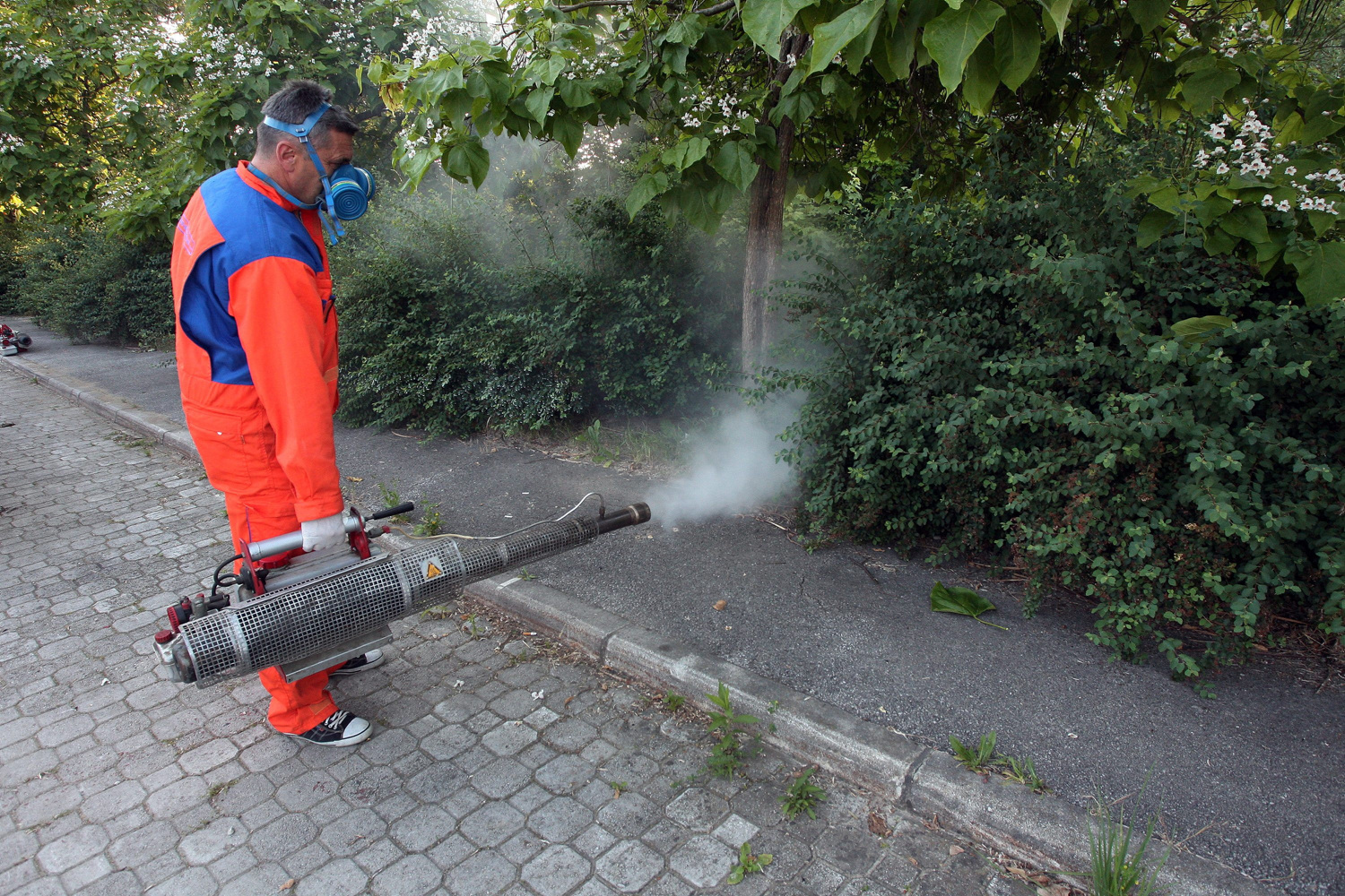 Mravi od ovog sredstva bježe kao vrag od tamjana: ‘Već mi izlaze iz fuga u kuaponi’