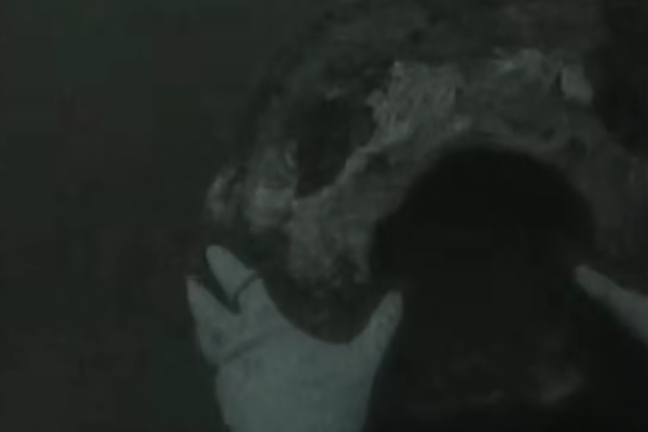 Pronađena olupina admiralskog broda potopljenog u bitki kod Kopenhagena