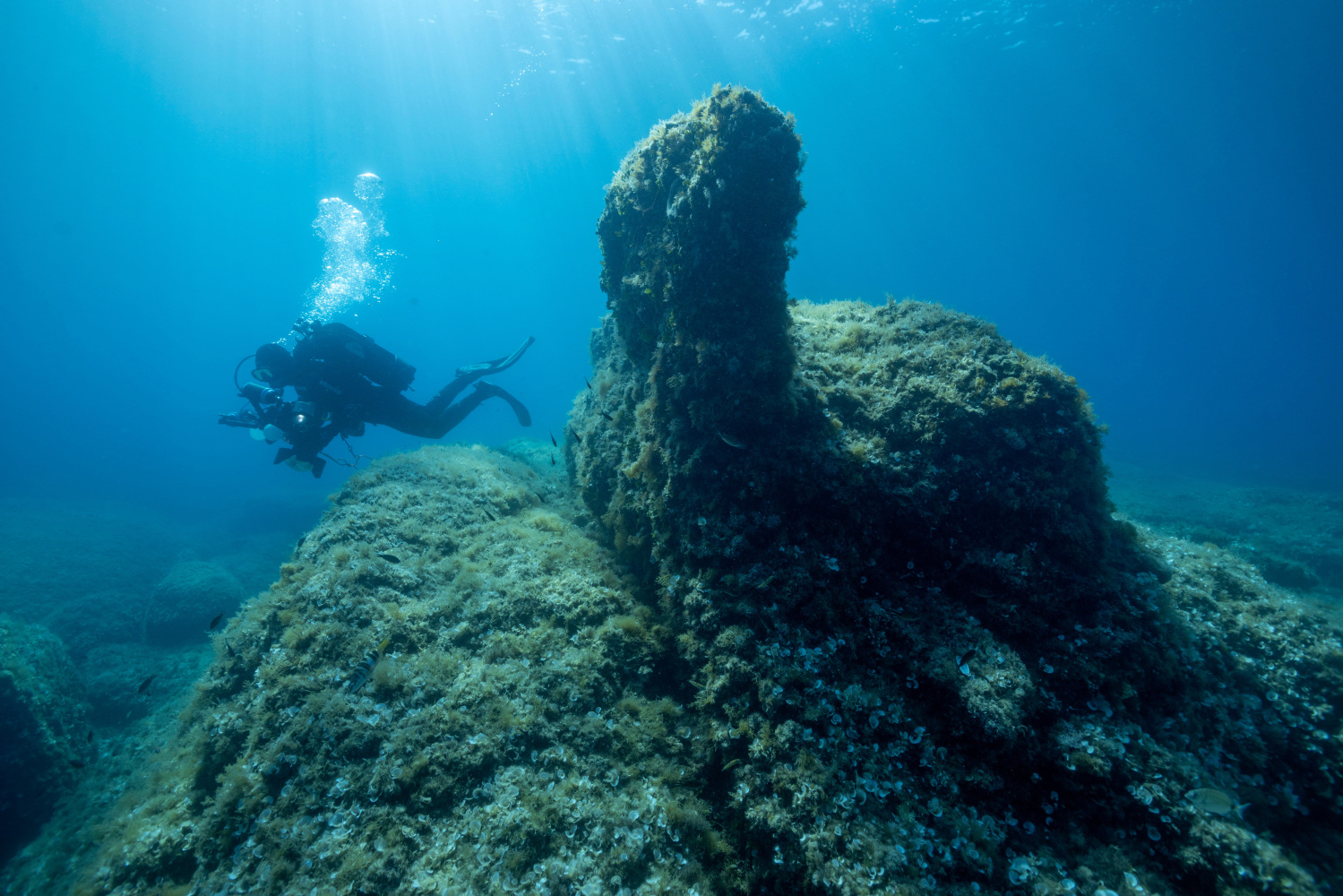 Snimala selfie pod morem, a onda joj je iza leđa došla rijetka morska neman: Pogledajte scenu