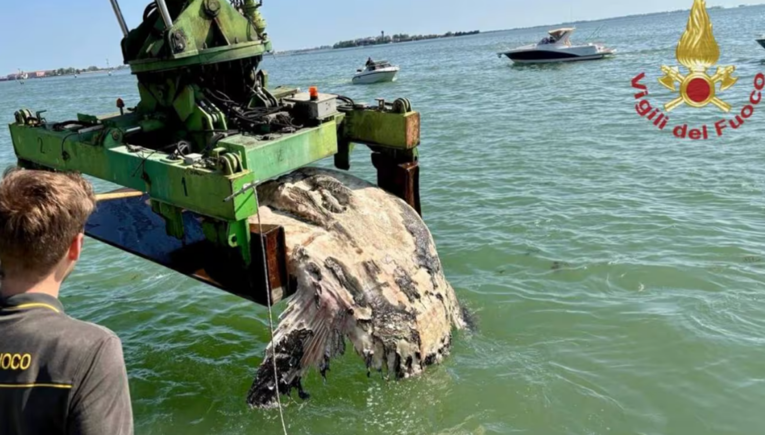Taksist u Veneciji snimio prizor koji će prestrašiti mnoge: Usred bijela dana izronila iz dubina