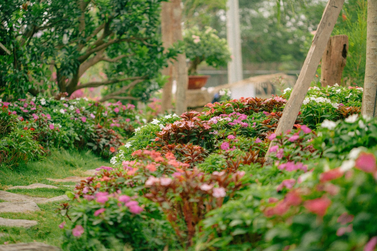 Stručnjaci mole ljude da u travnju obavezno posipaju crni papar u vrt