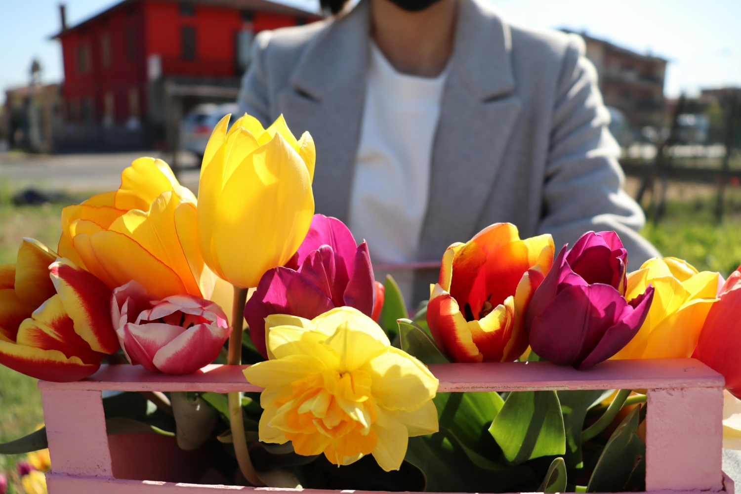 Lagan trik od tri sekunde preporodit će vaše omiljeno cvijeće