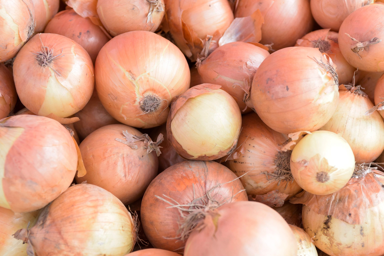 Kuhar otkrio najbolji način čuvanja luka, ovo nitko ne radi: Mjesecima će biti dobar