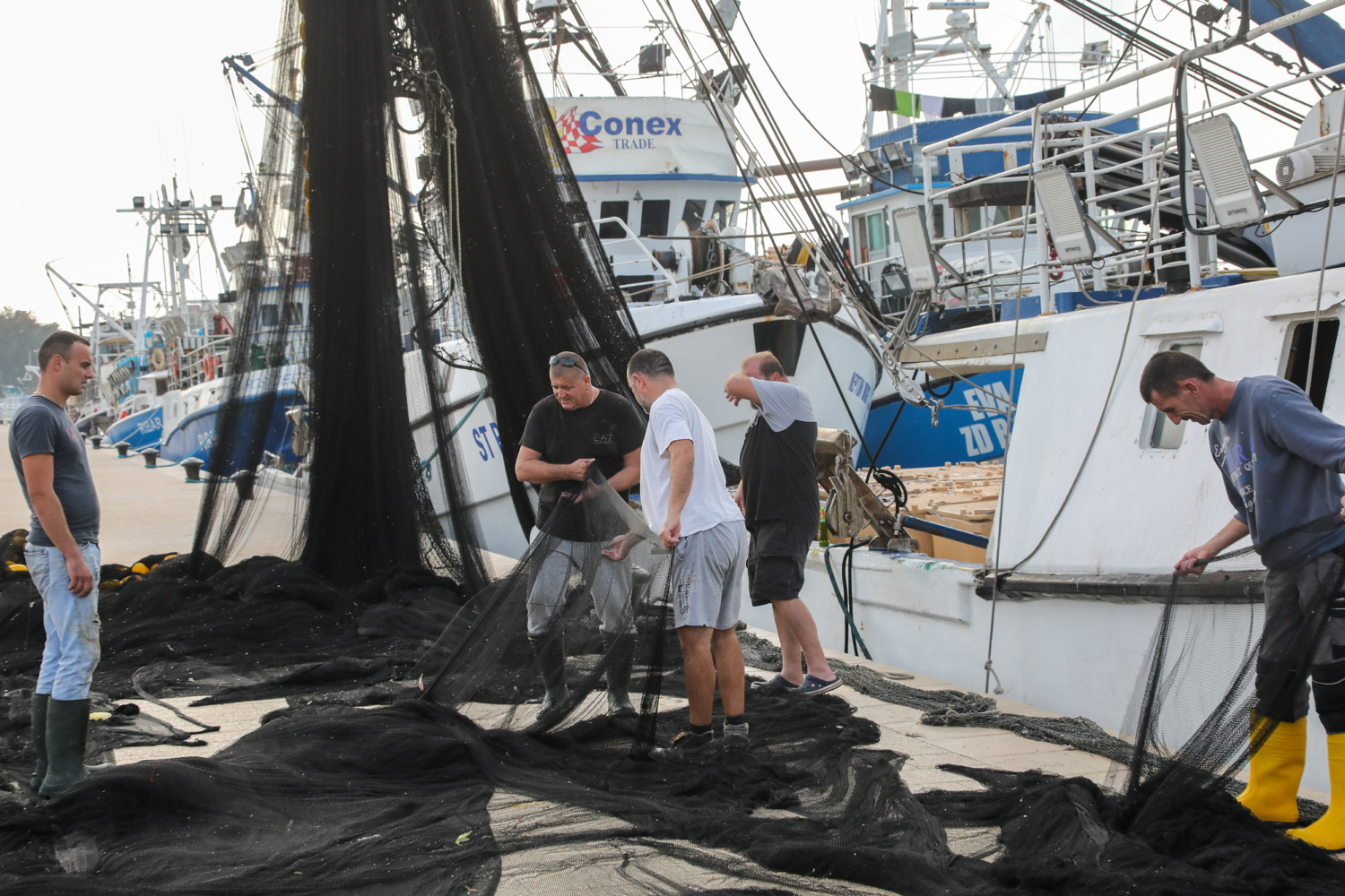 Najgori scenarij za Jadran: Stručnjaci upozoravaju na potpuni slom morskog lanca