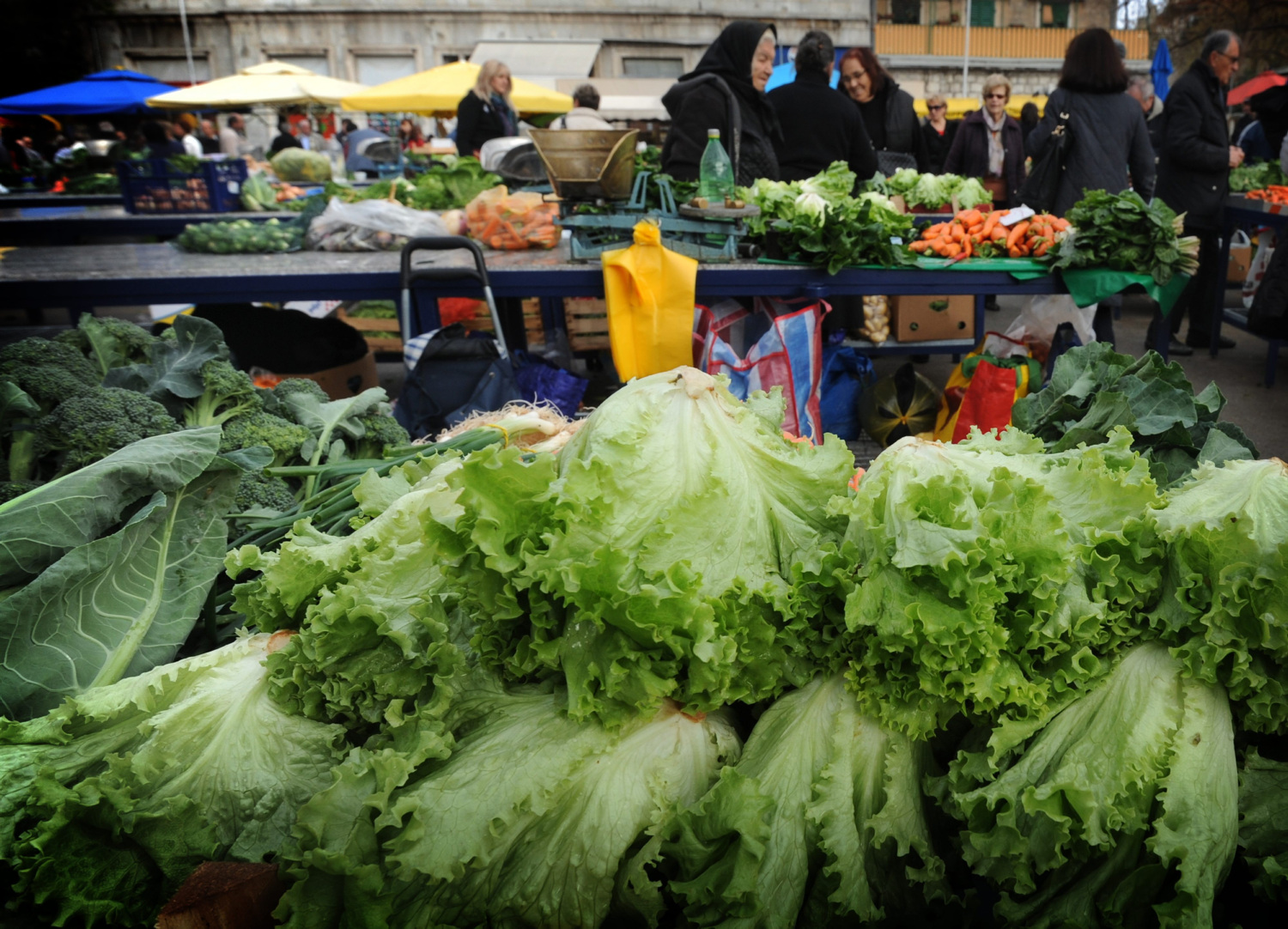 Pranjem zelene salate ne uklanjate sve bakterije: To se postiže samo na jedan način