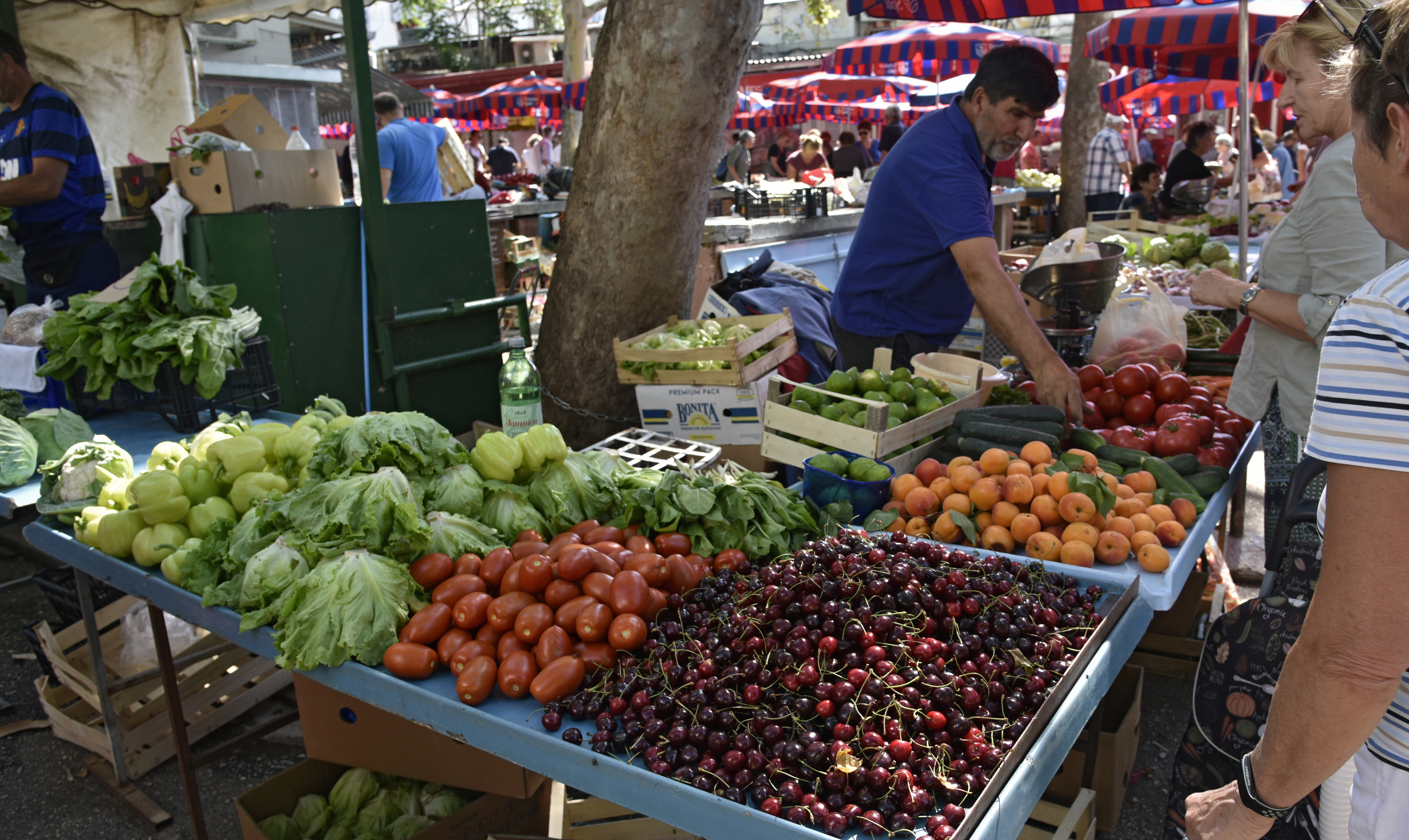 Jeftino povrće koje bi trebali jesti svaki dan: Topi salo, čuva zdravlje i odlično je za srce