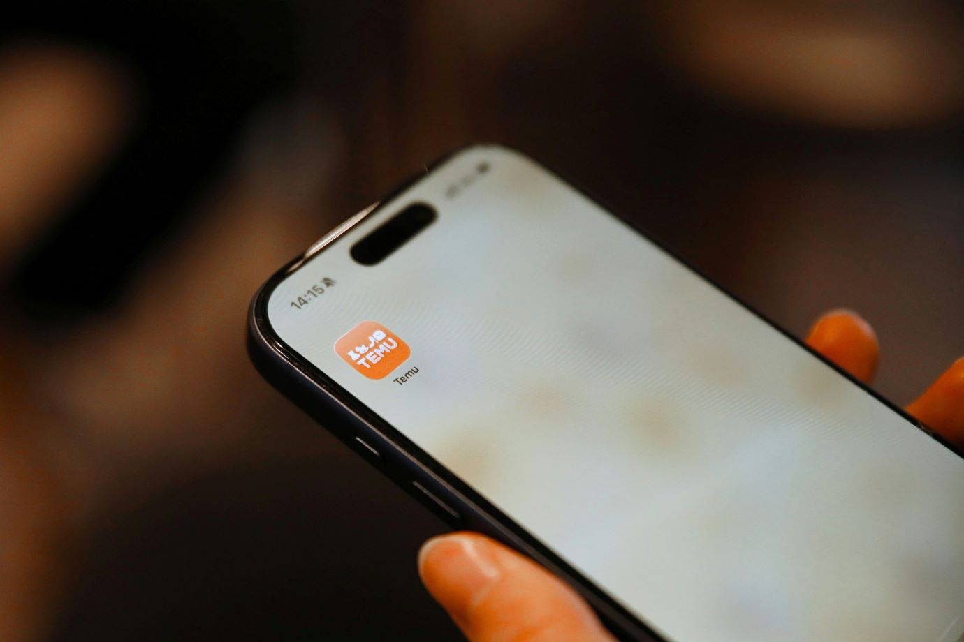 Ovo su najisplativiji proizvodi s Temua ove godine: Koštaju svega par eura, a olakšat će vam život