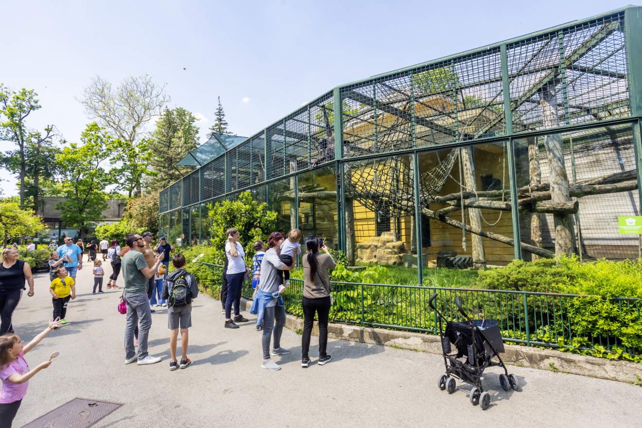 Smrt u zagrebačkom ZOO-u shrvala djelatnike i posjetitelje: ‘Nije mogla ustati na noge’